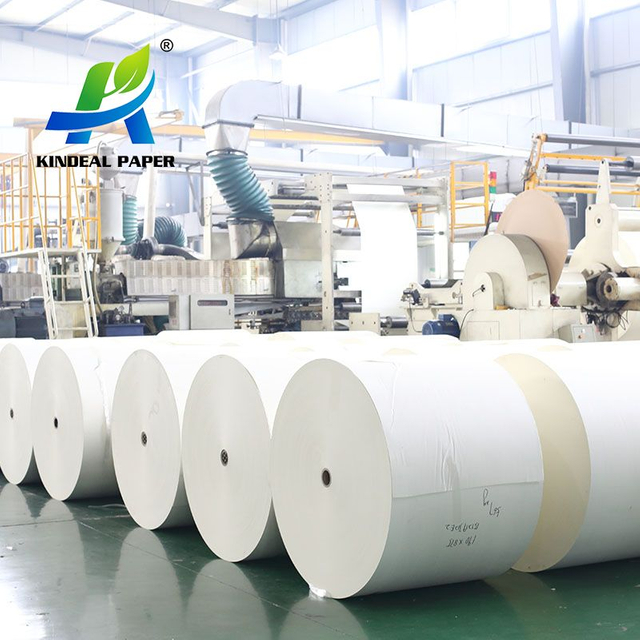 Rollo termosellable de la materia prima de la taza de papel de la laminación para que el papel vaya a los contenedores