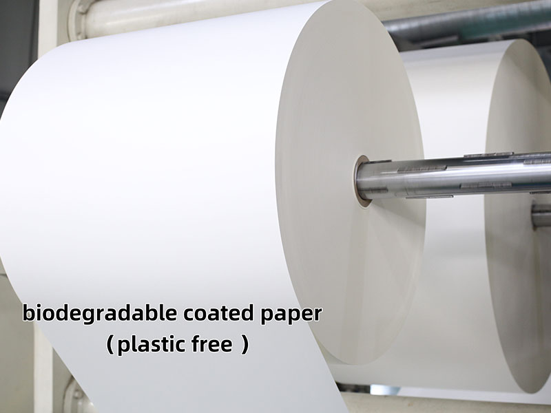 10-Papel-recubierto-biodegradable