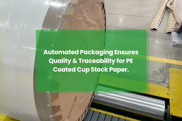 Automated-Packaging-Ensures-Quality-&-Traceability-for-PE-Coated-Cup-Stock-Paper.jpg