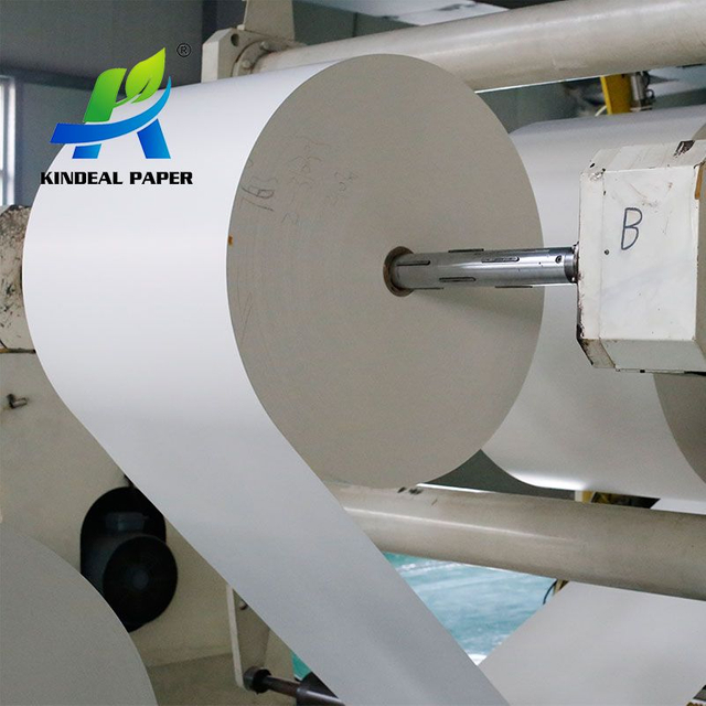 Rollo de tablero de papel común de taza a granel medio blanco de 150gsm a 350gsm para vasos de papel desechables, precio al por mayor 